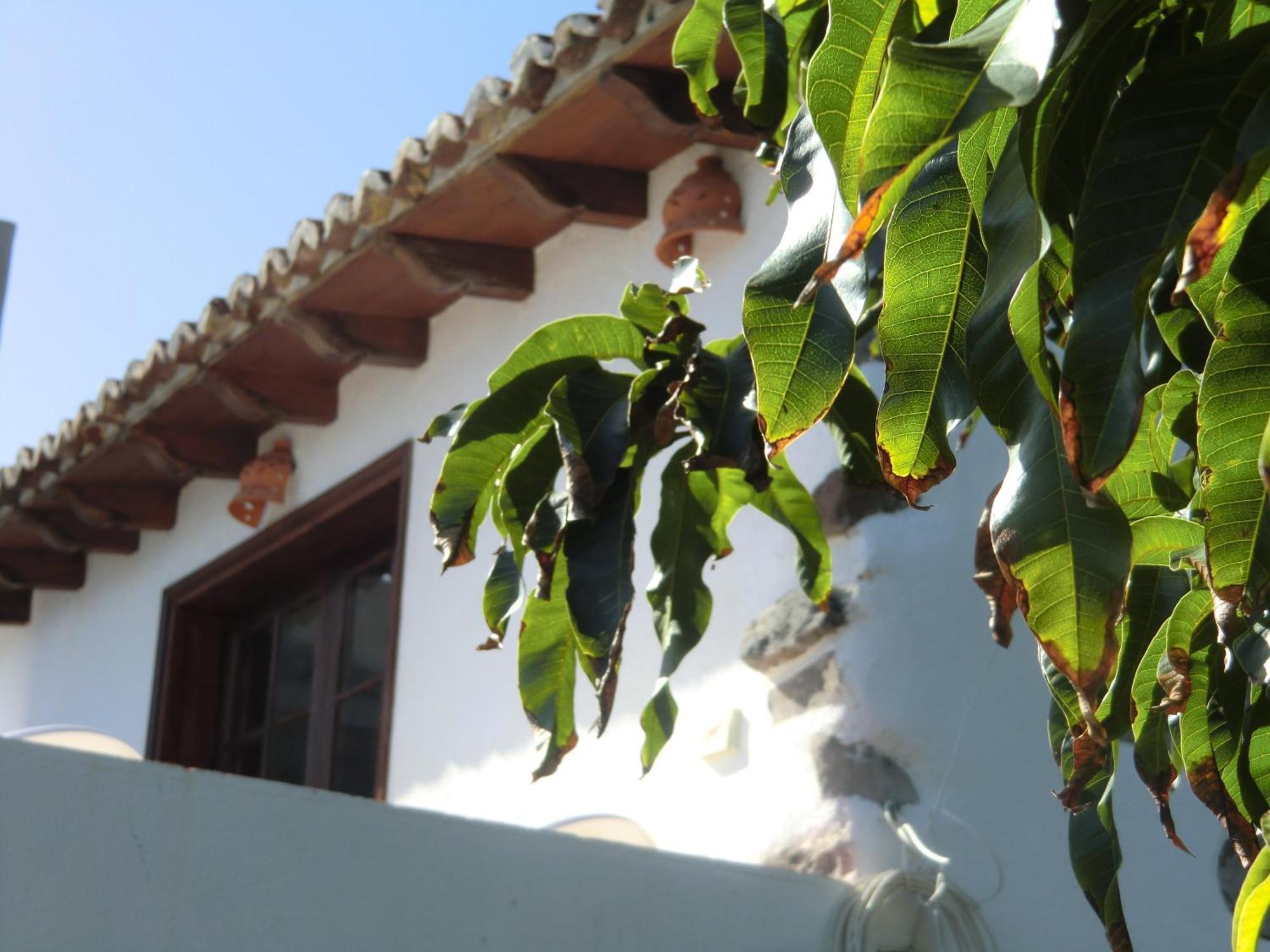 Villa Delfines Agulo Exterior photo